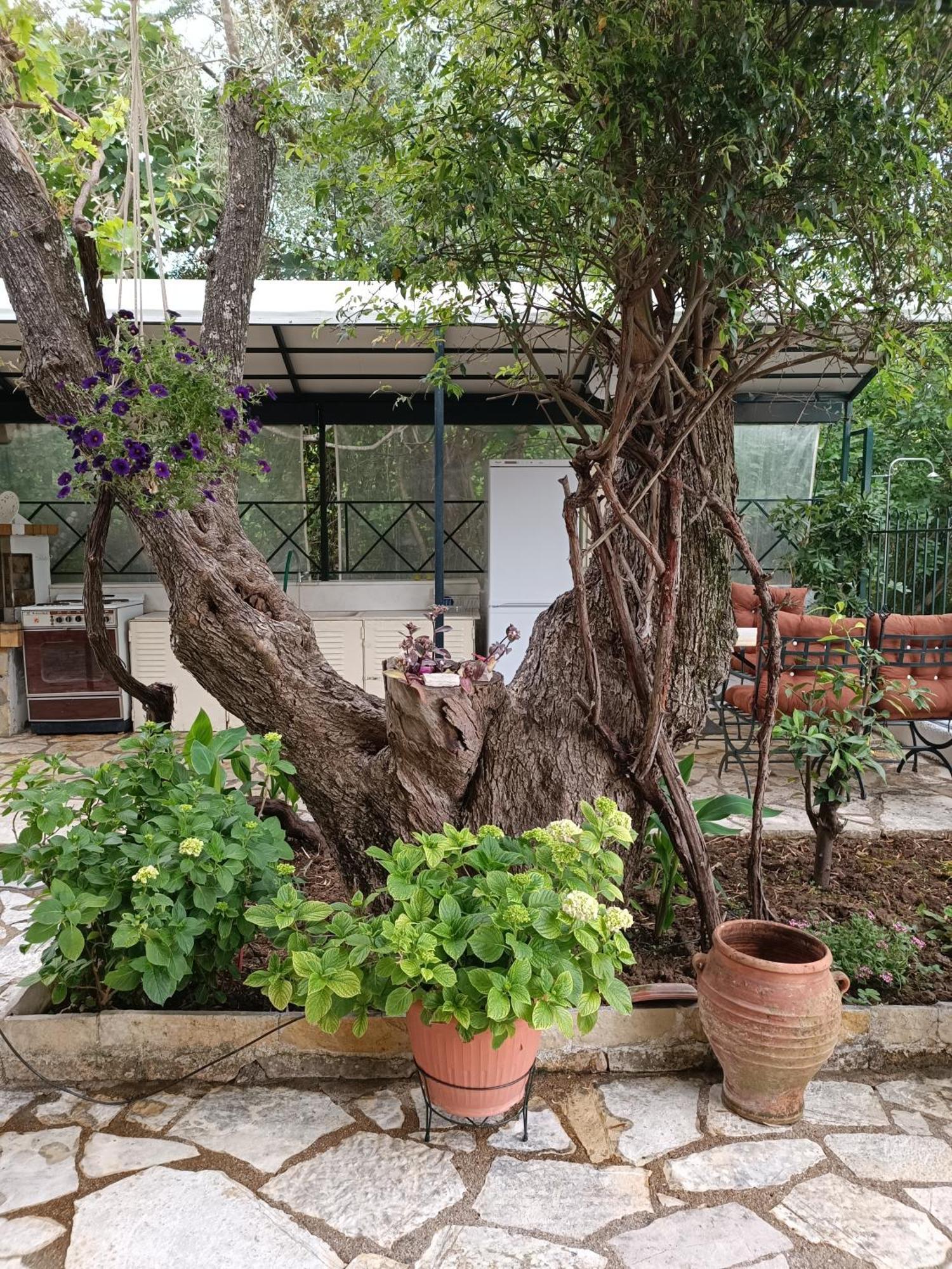 Casa Trizoni Nikiana Apartman Kültér fotó
