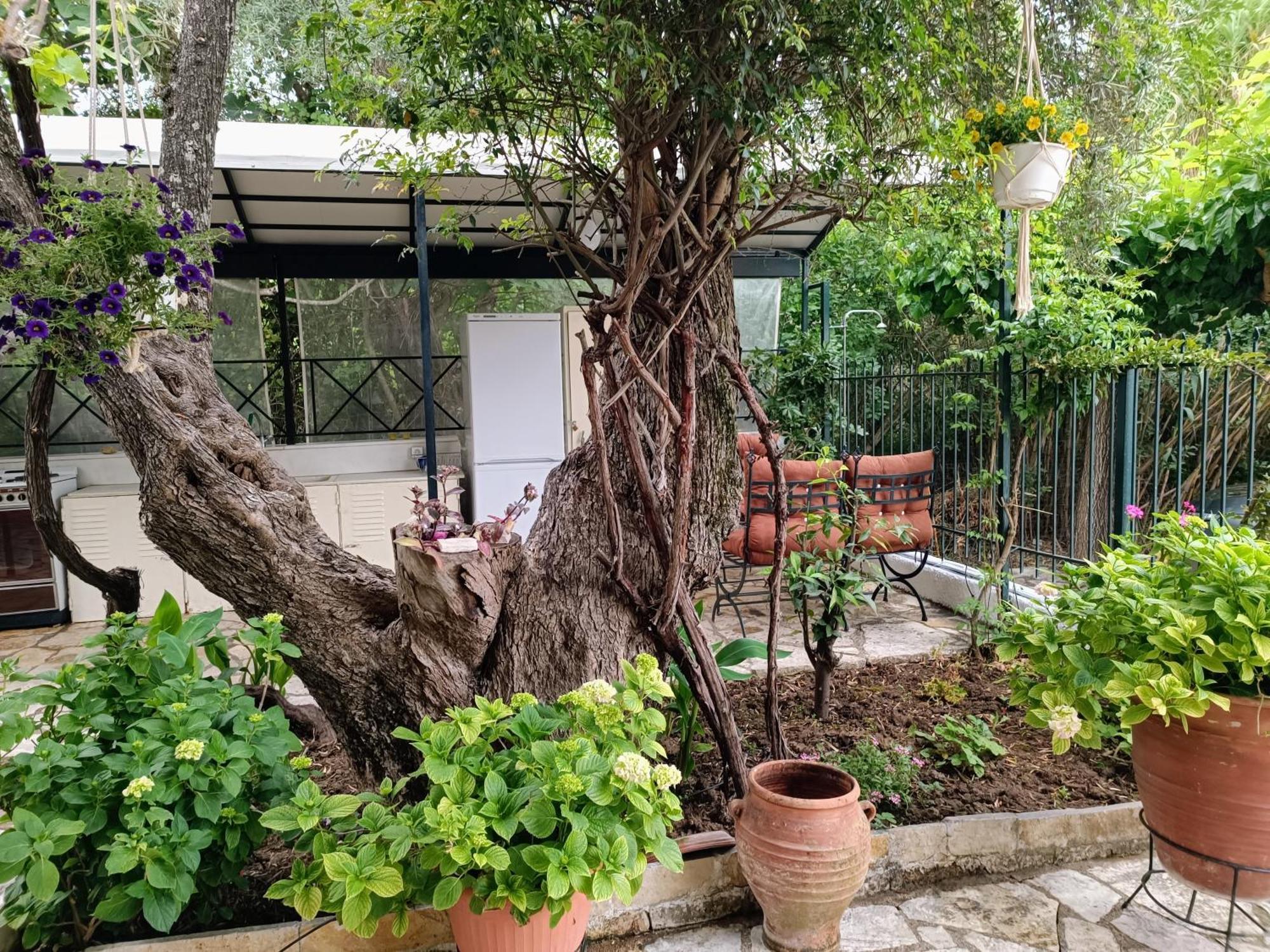 Casa Trizoni Nikiana Apartman Kültér fotó